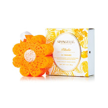 Load image into Gallery viewer, Spongellé Body Wash Infused Buffers